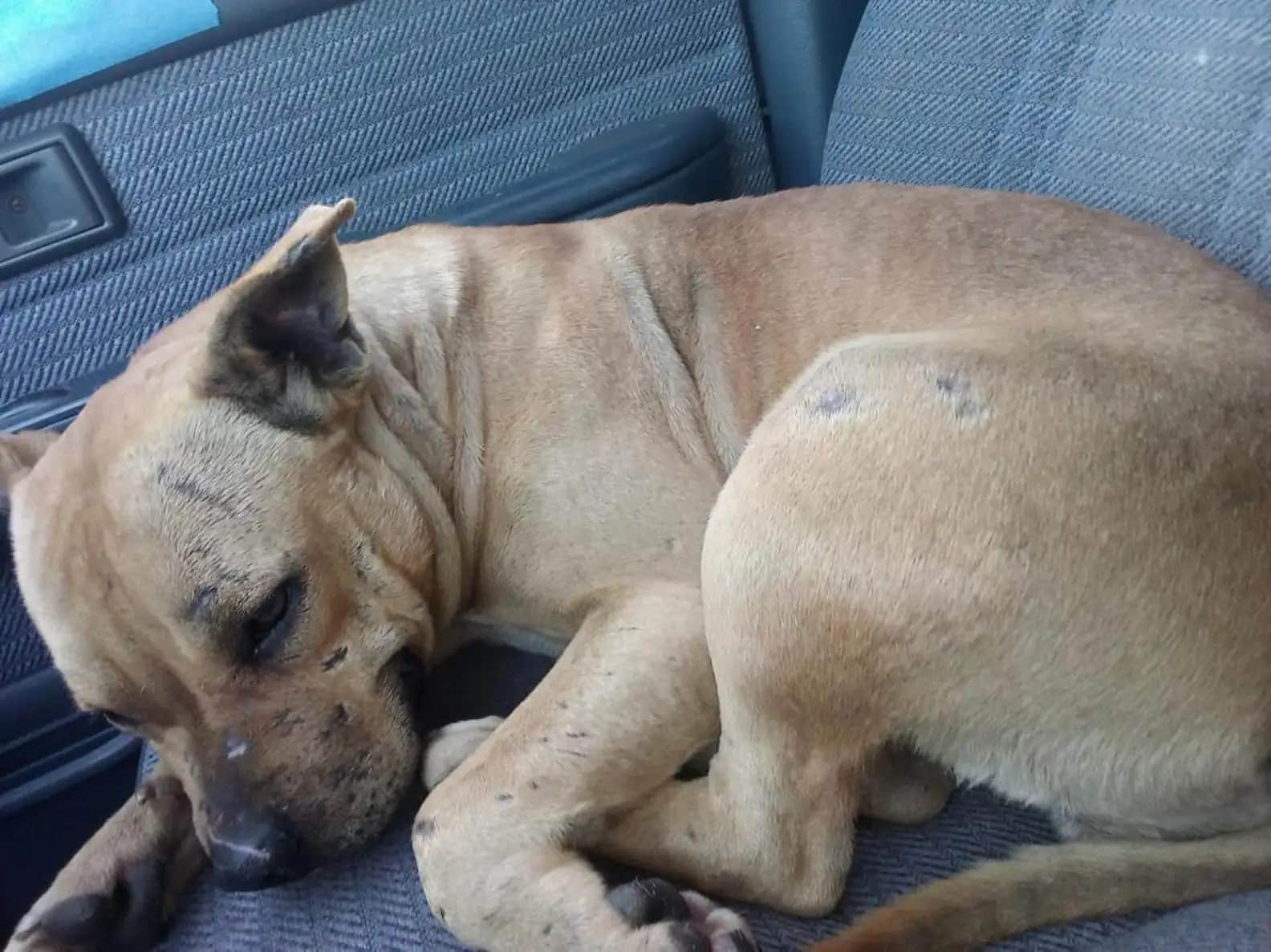 Extra image from article