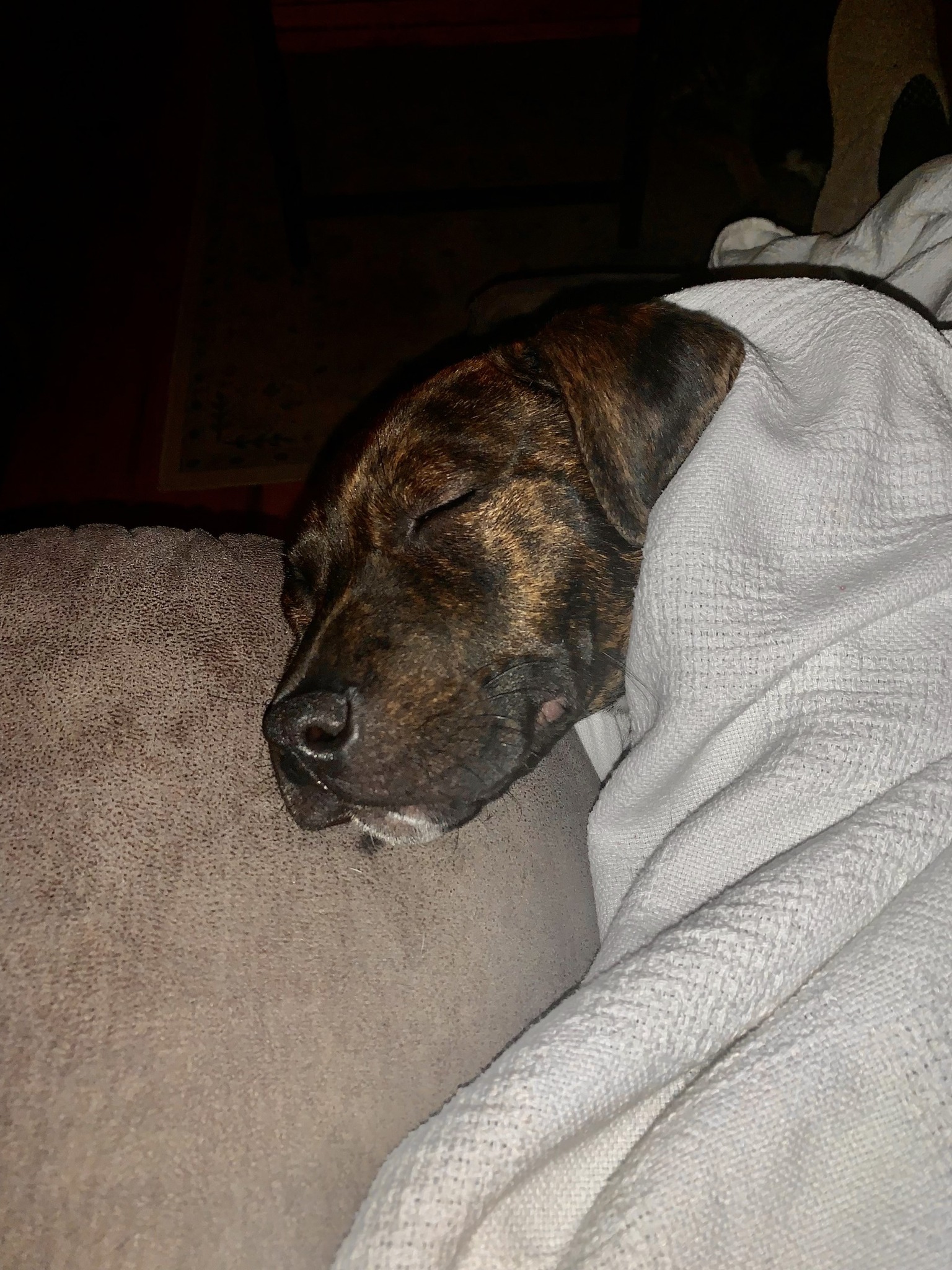 Extra image from article