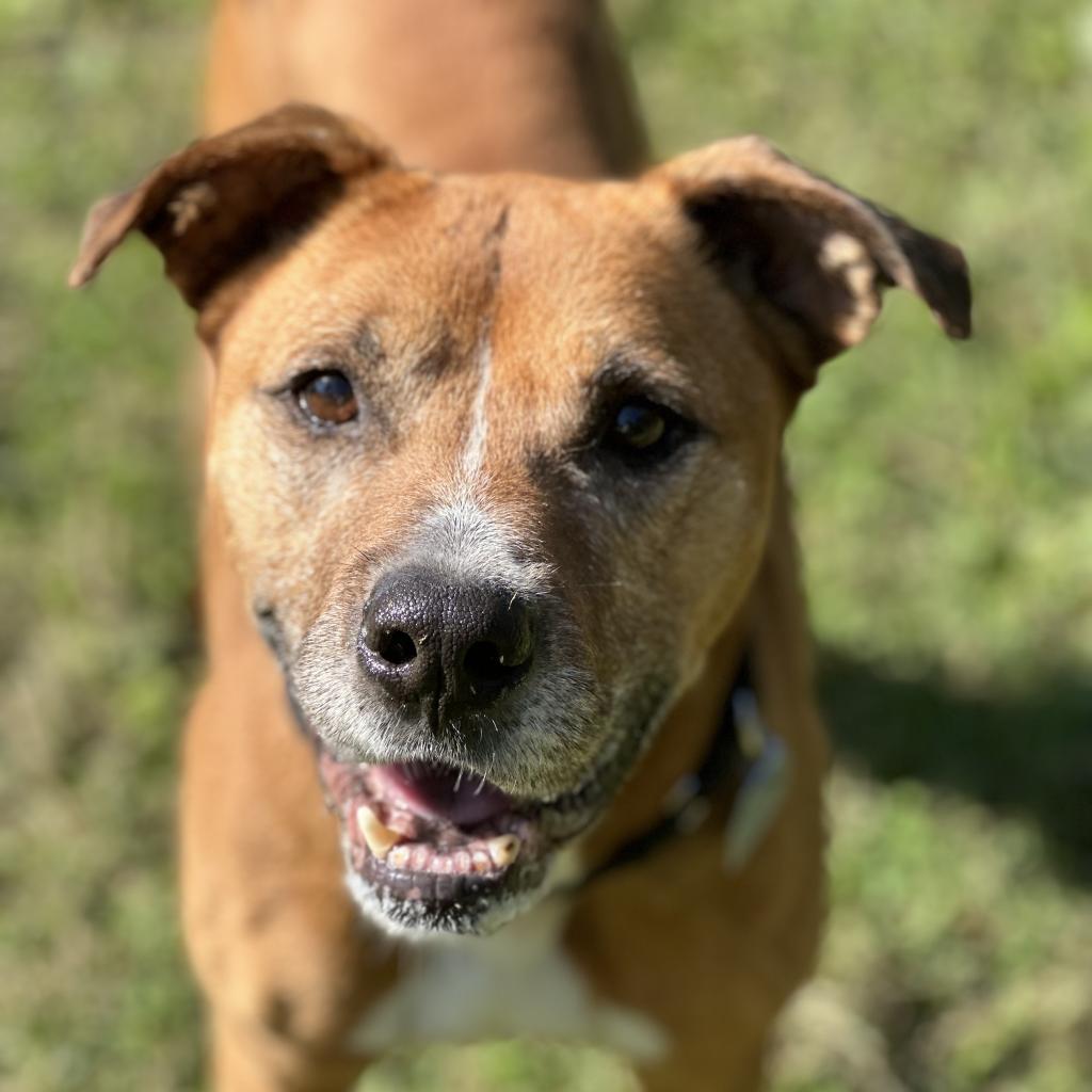 However, finding that new home proved to...