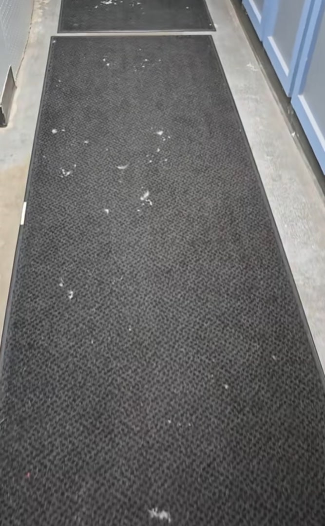 Extra image from article