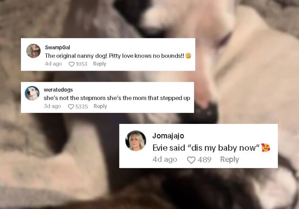 Extra image from article