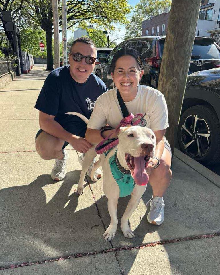 Extra image from article