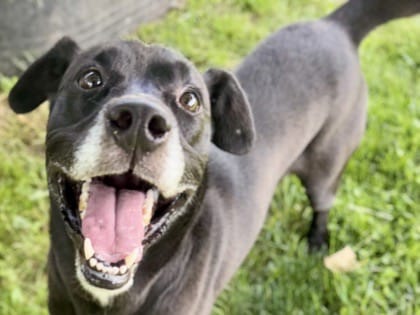 Extra image from article