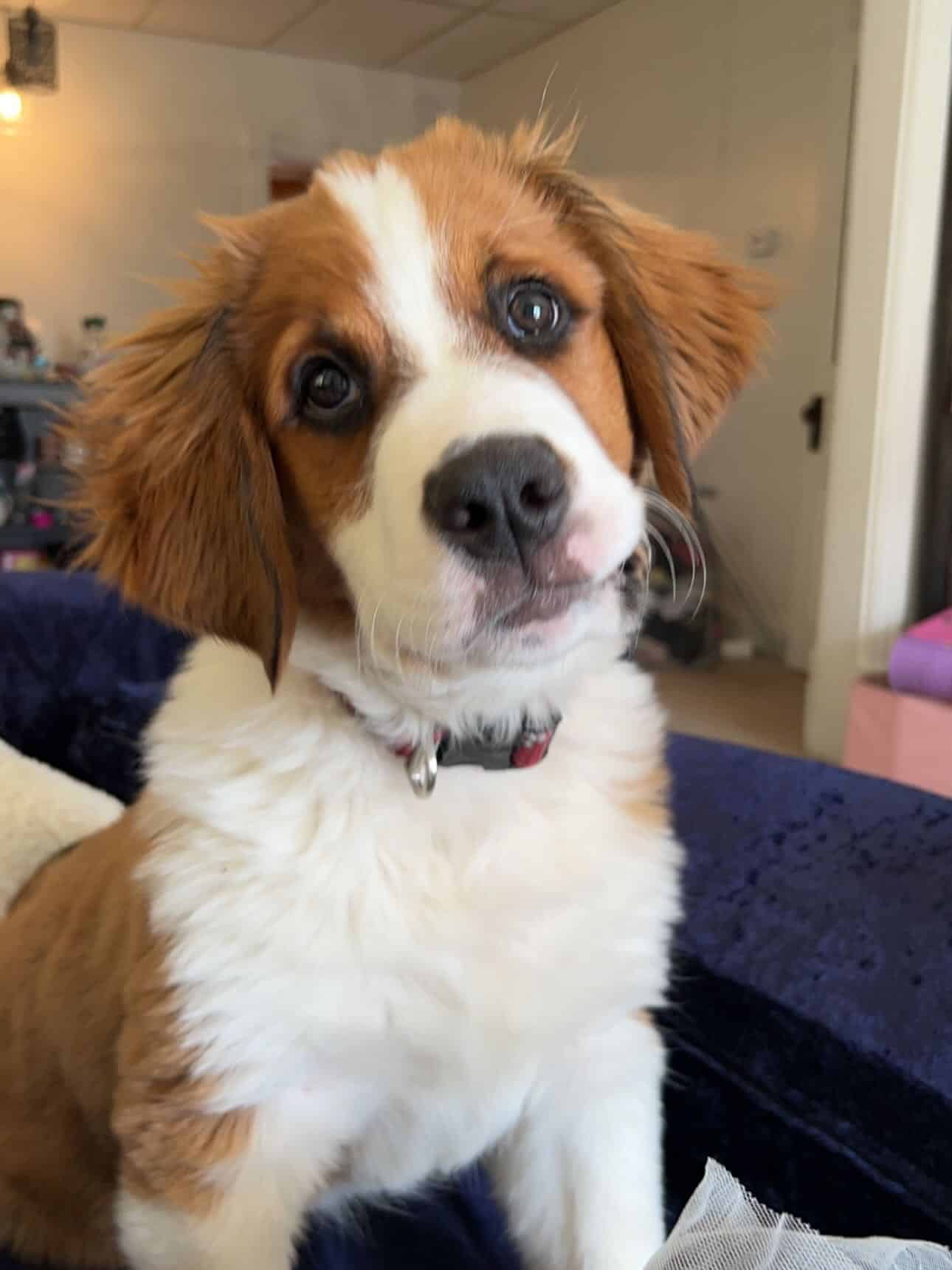 Though captivated by Milo, Arielle recei...