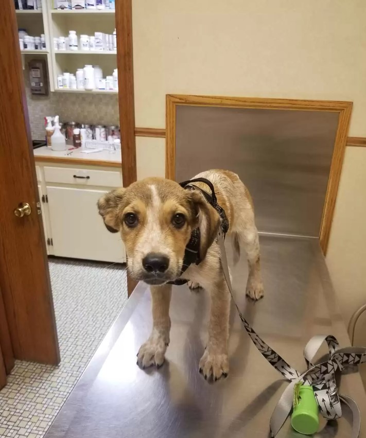 Extra image from article