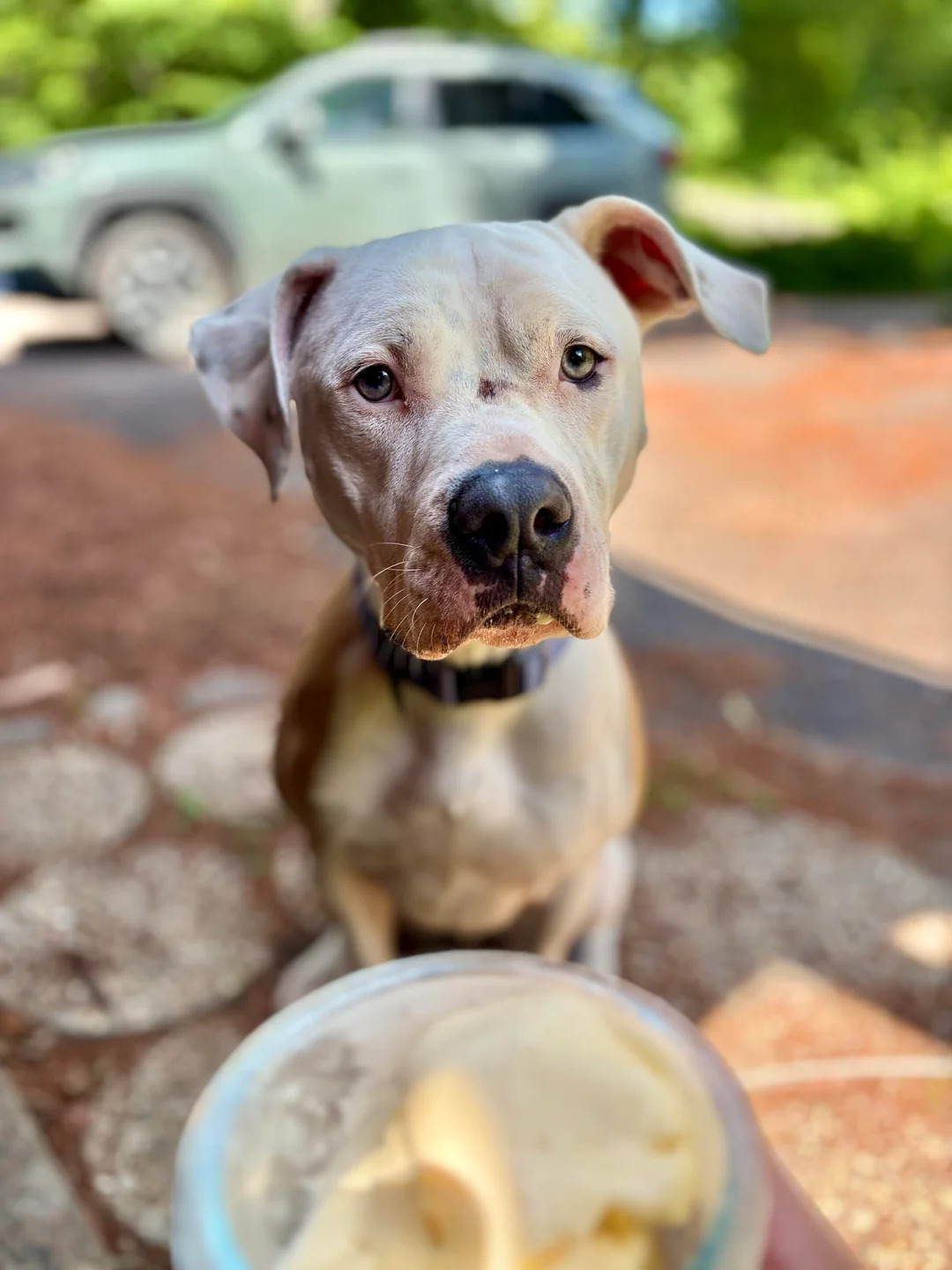 Extra image from article