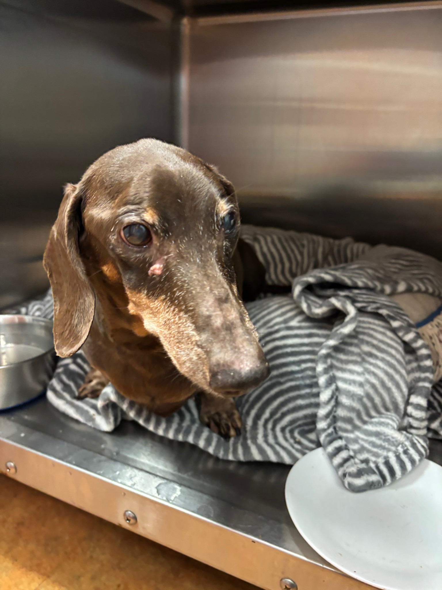 Extra image from article