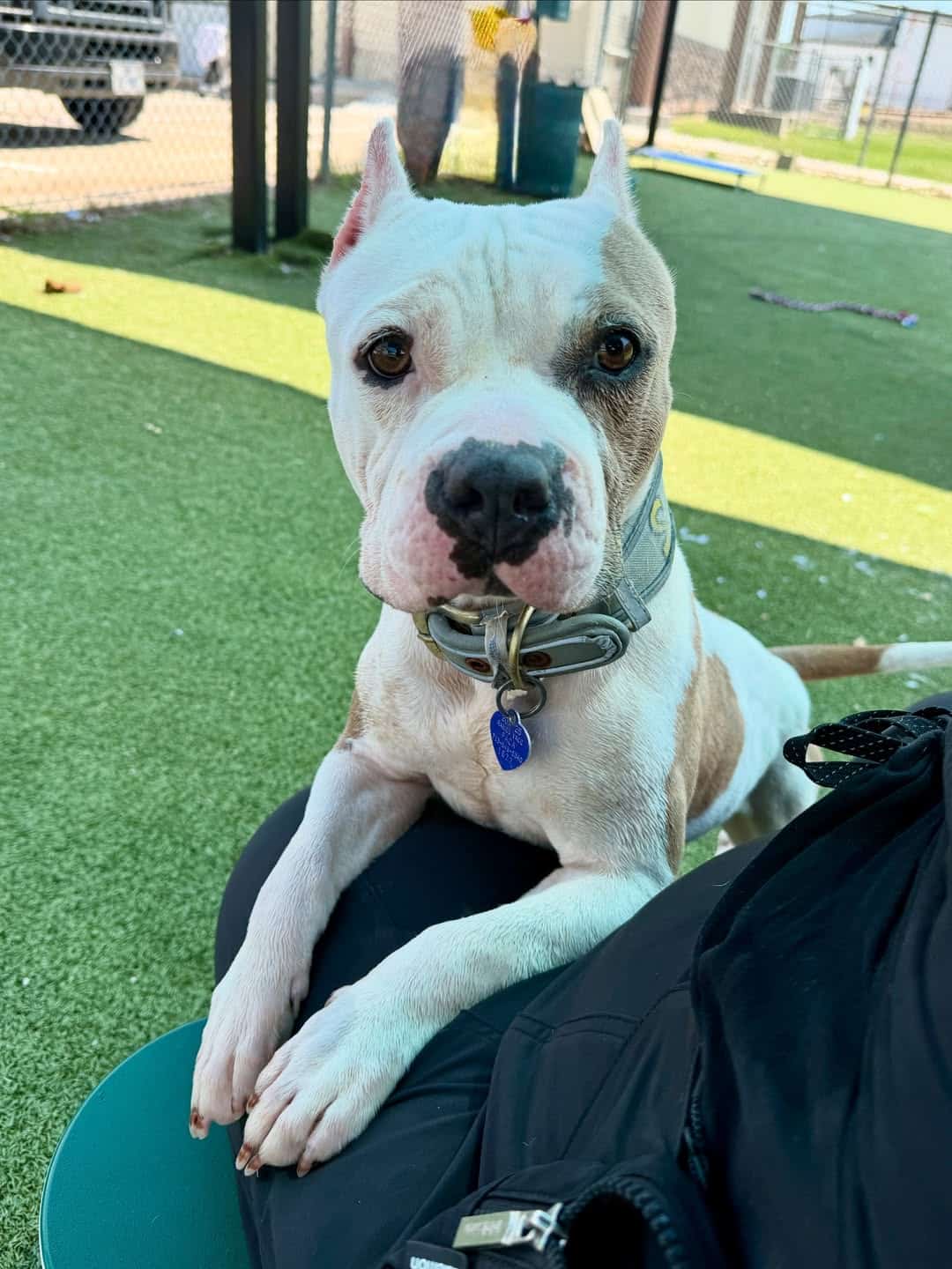 Extra image from article