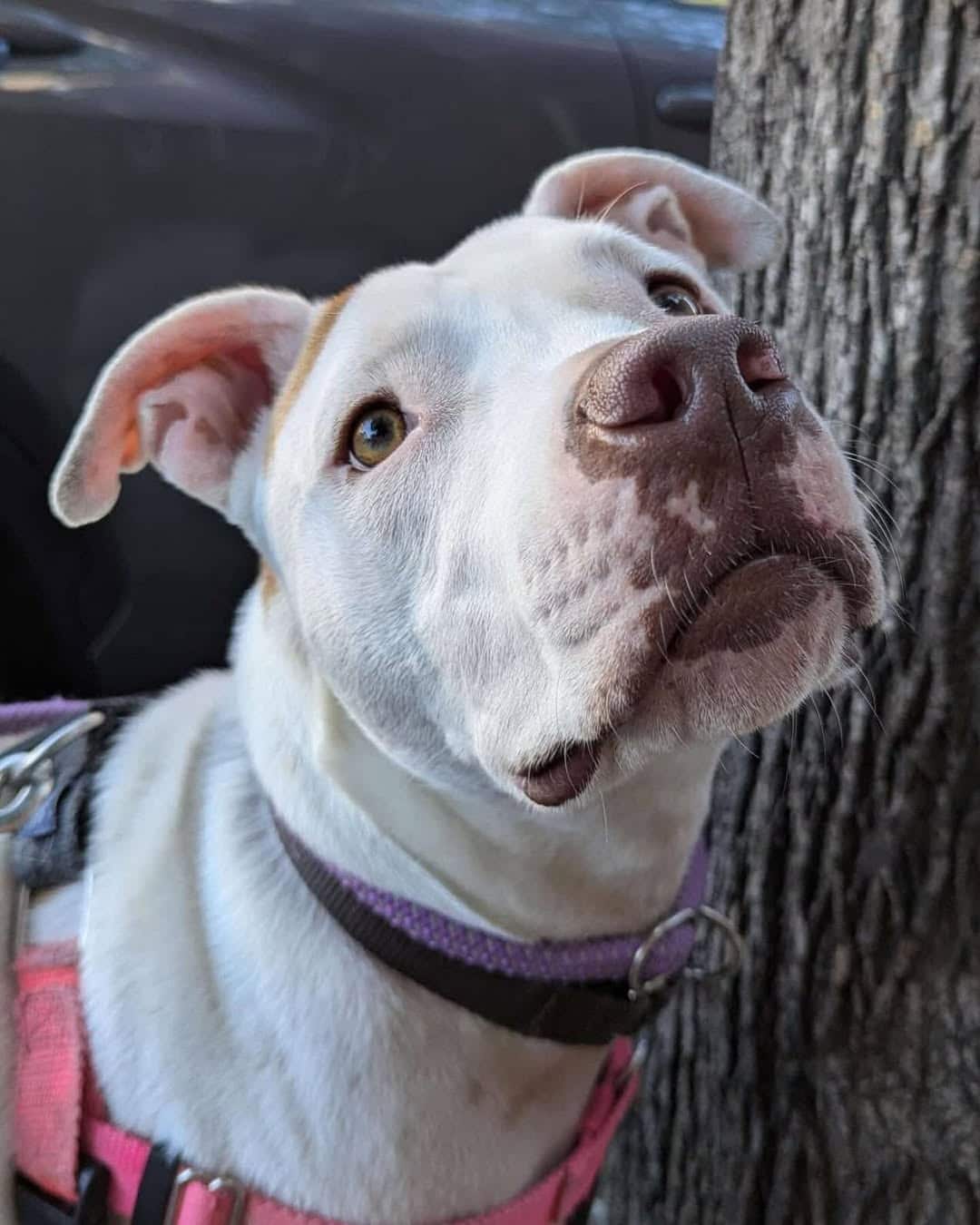 Extra image from article