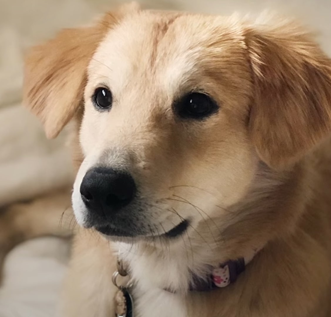 Extra image from article