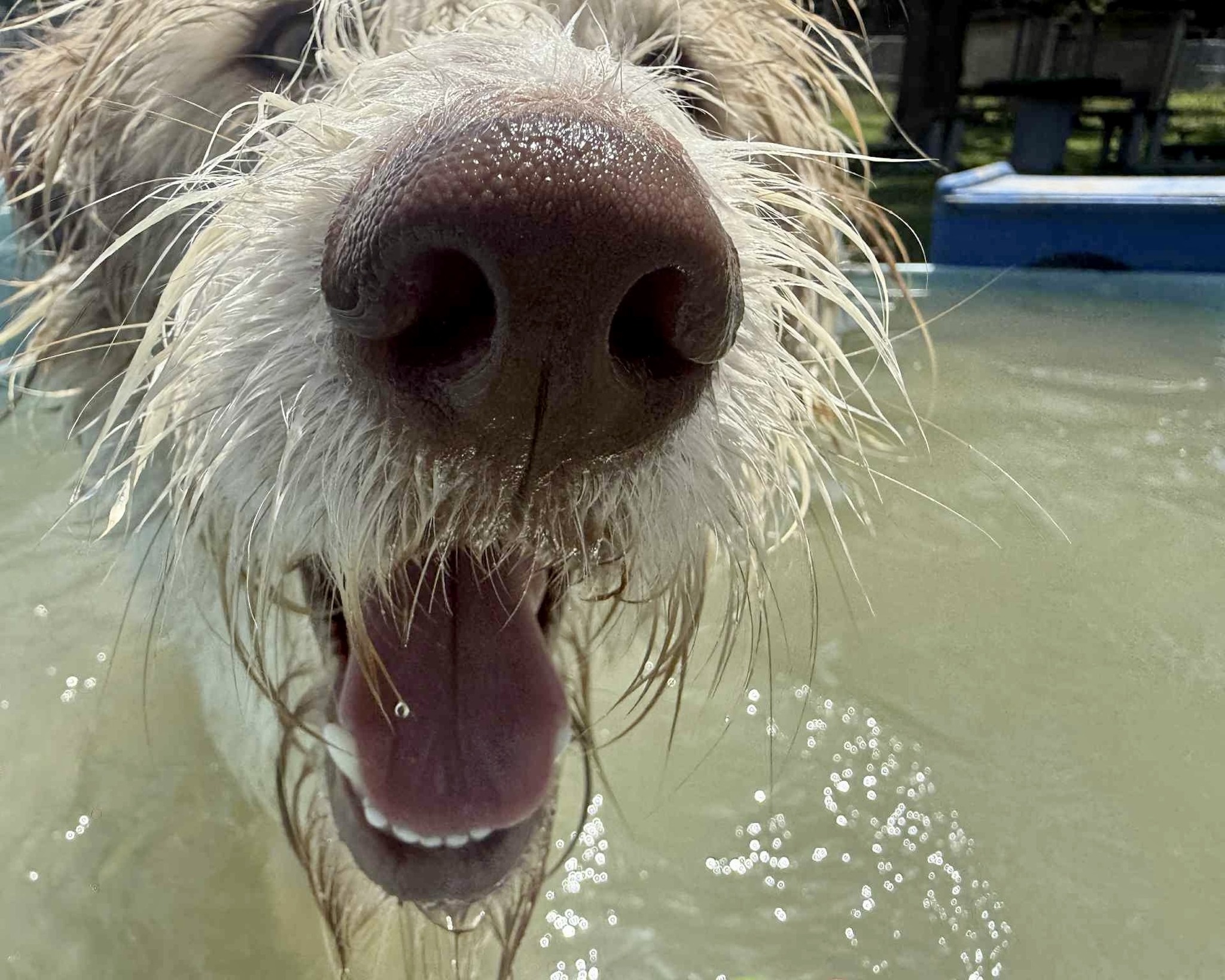 Extra image from article