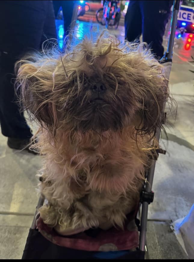 When Southon finally met Sullivan, he we...