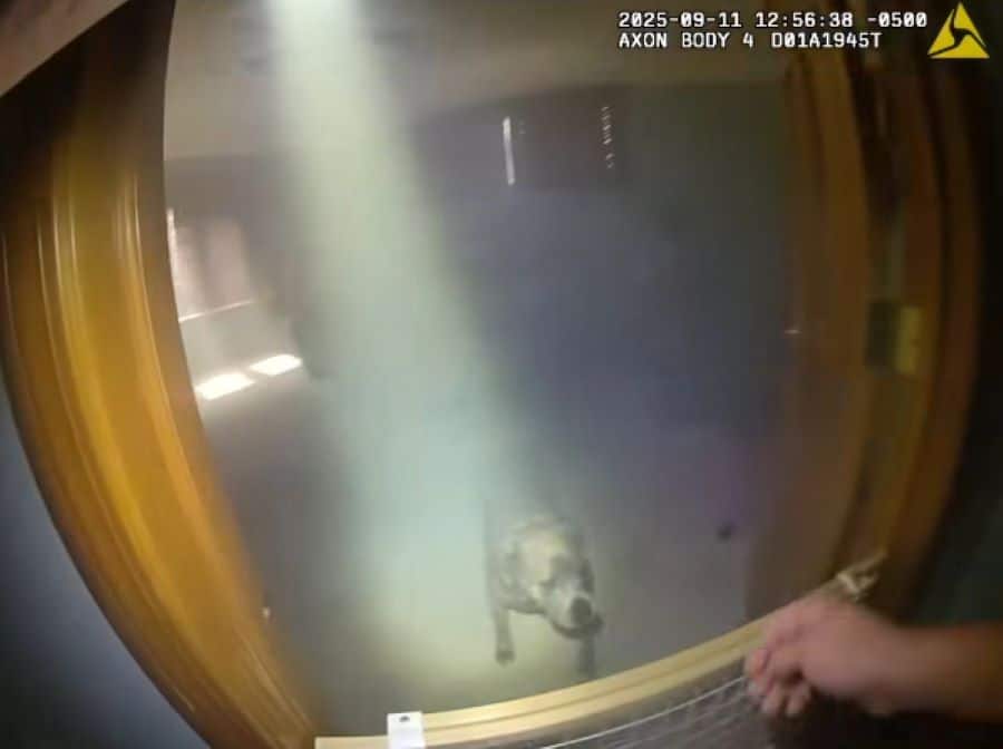 After retrieving Oakley’s leash, the off...