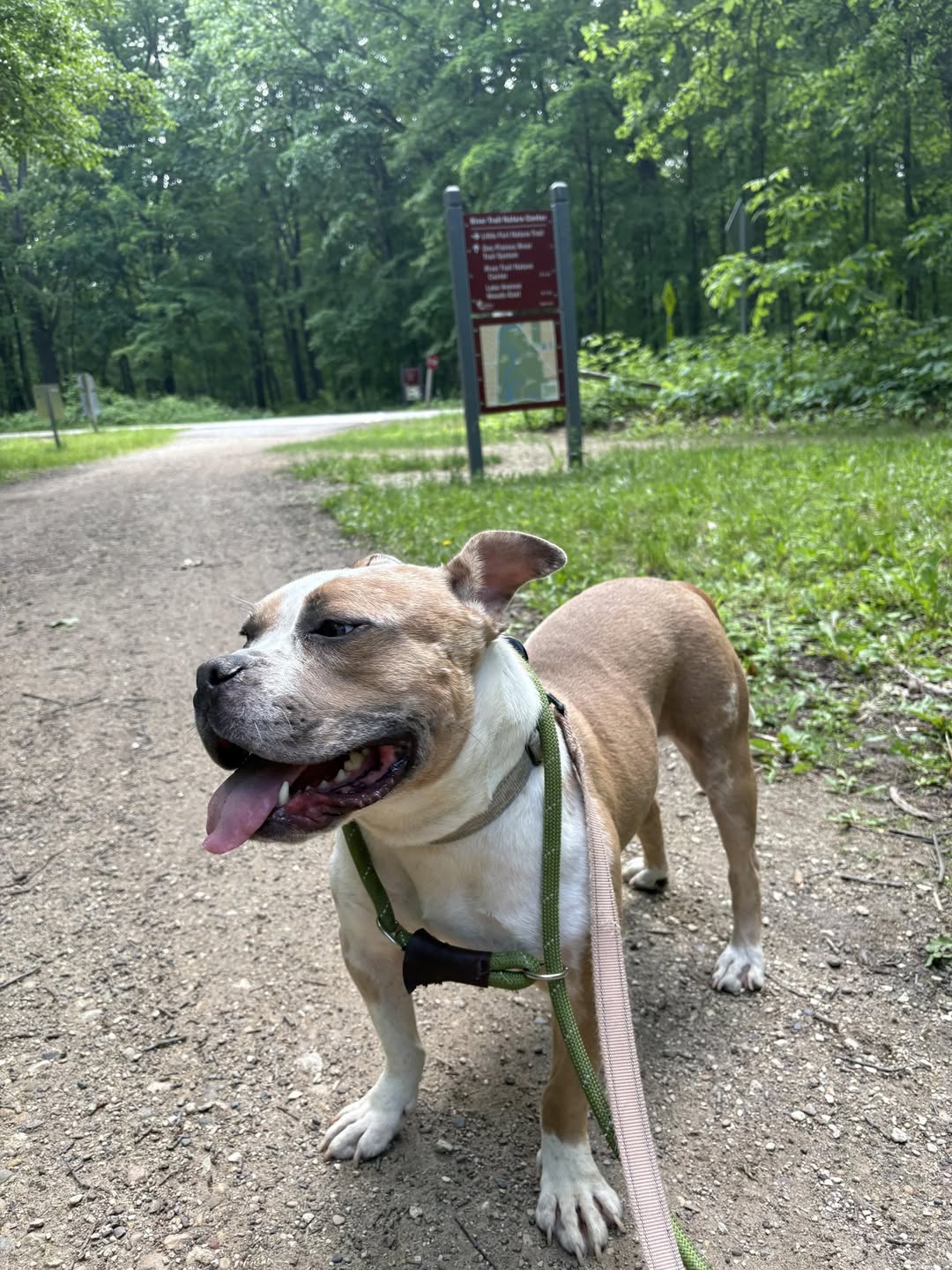 Extra image from article