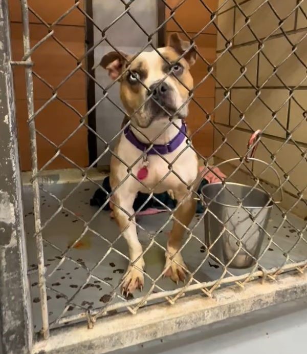 Extra image from article