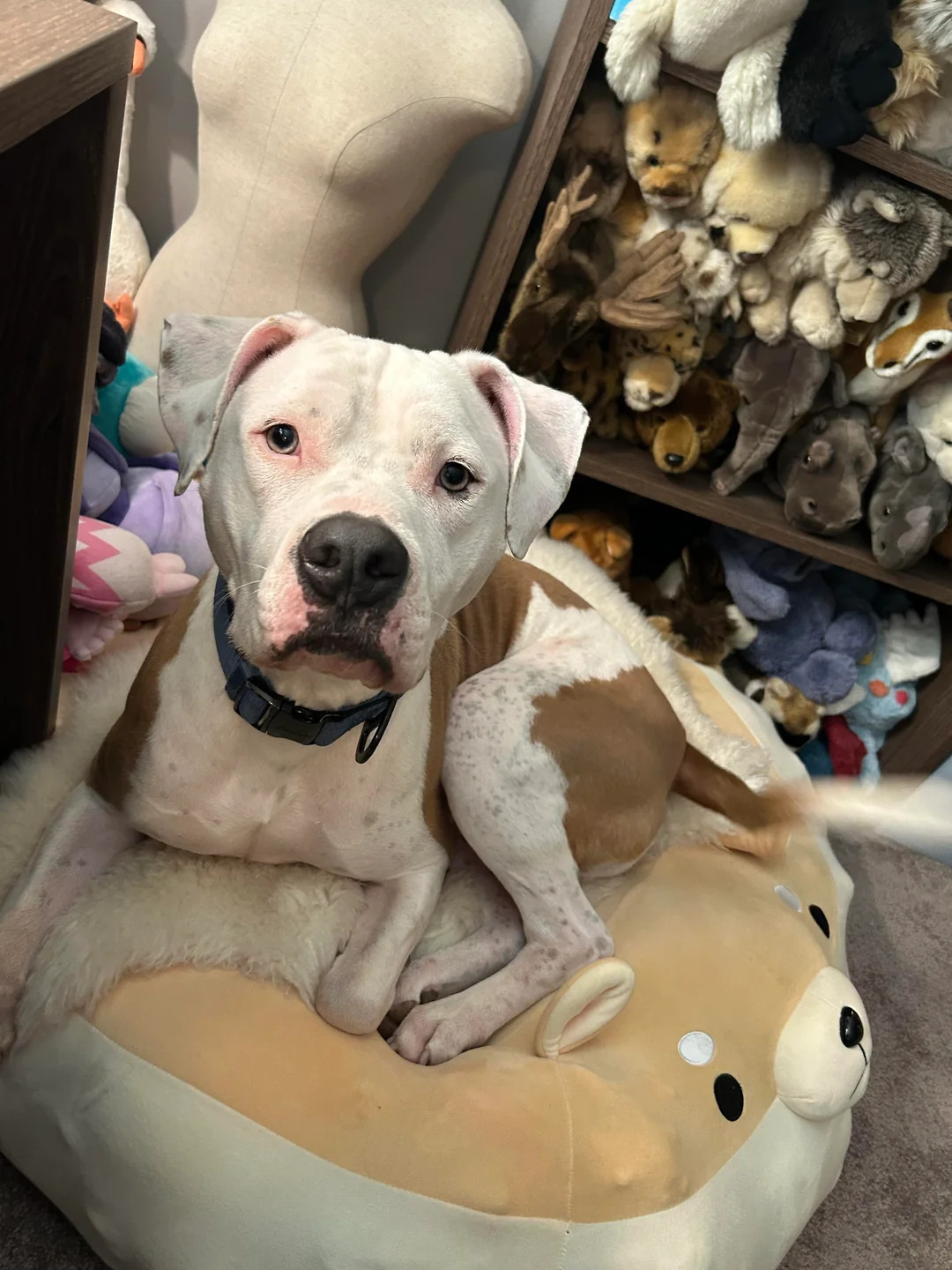 Extra image from article