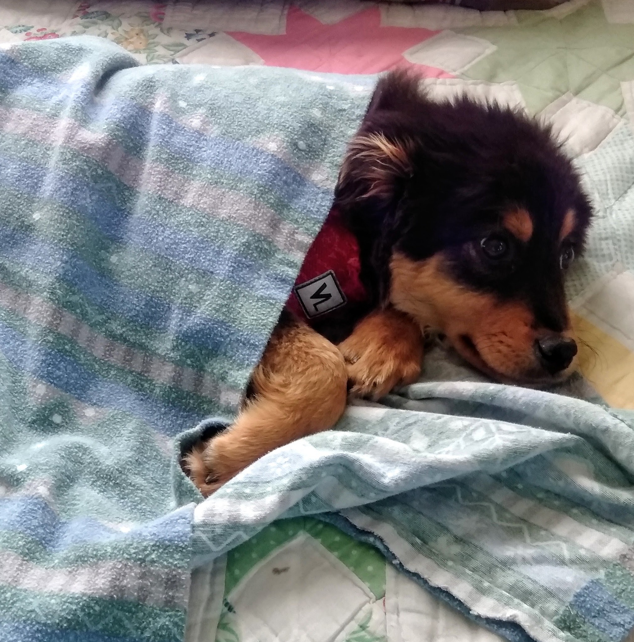 Barefoot and unwavering after losing her...