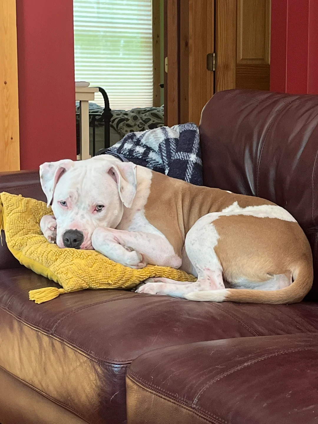 Extra image from article