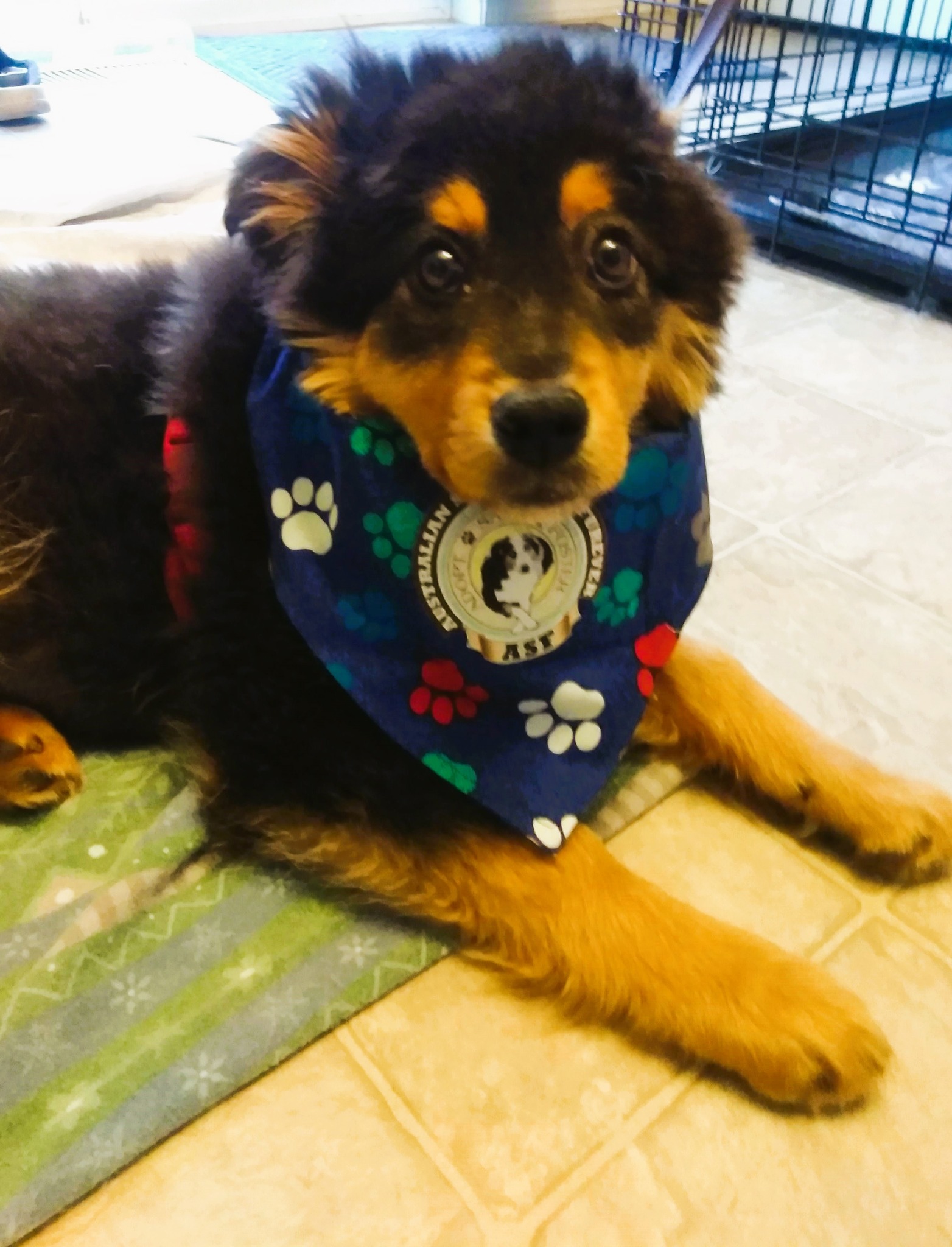 Tammy’s love and patience transformed Pr...