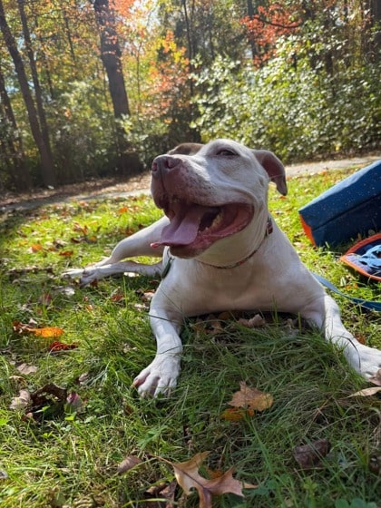 Extra image from article