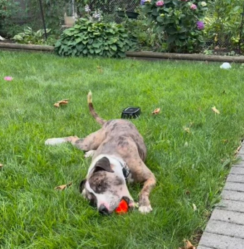 Extra image from article