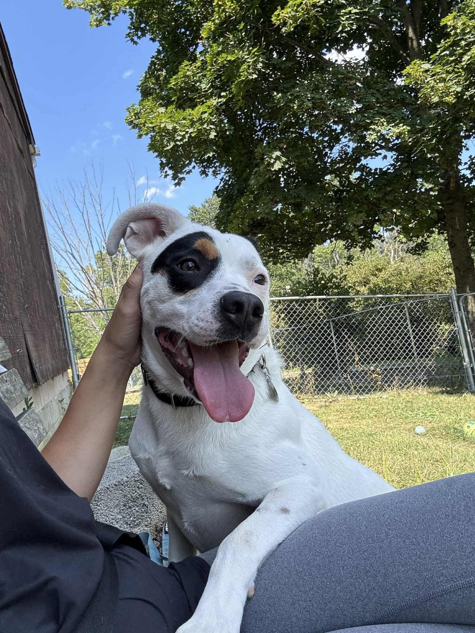 Extra image from article