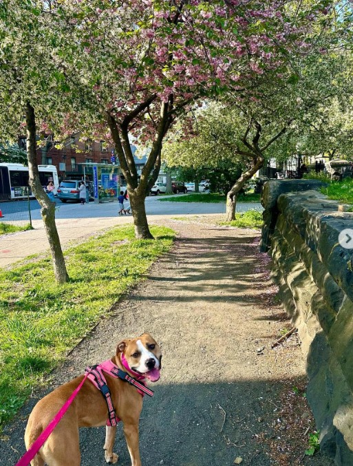 Extra image from article