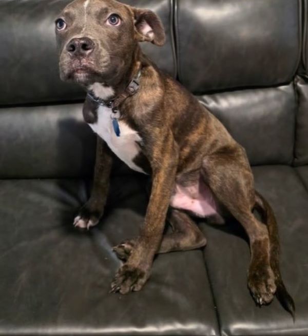 Extra image from article