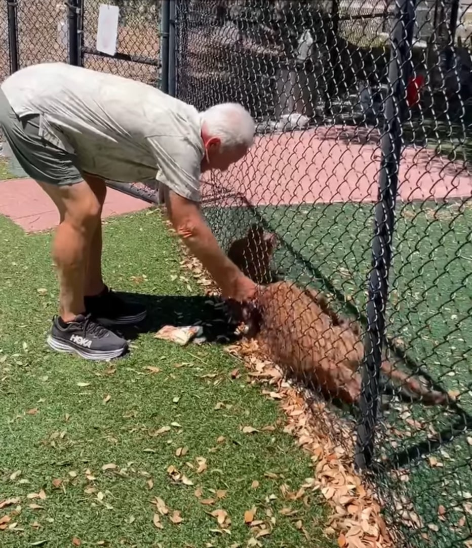 Gradually, Sabie's fear began to fade. H...