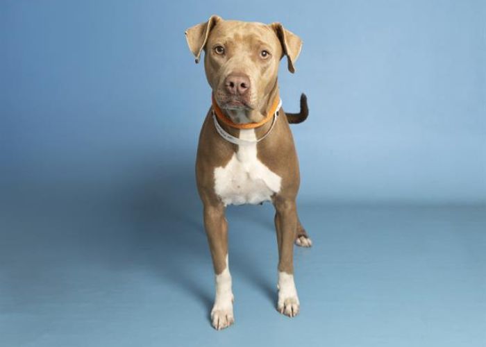 Extra image from article