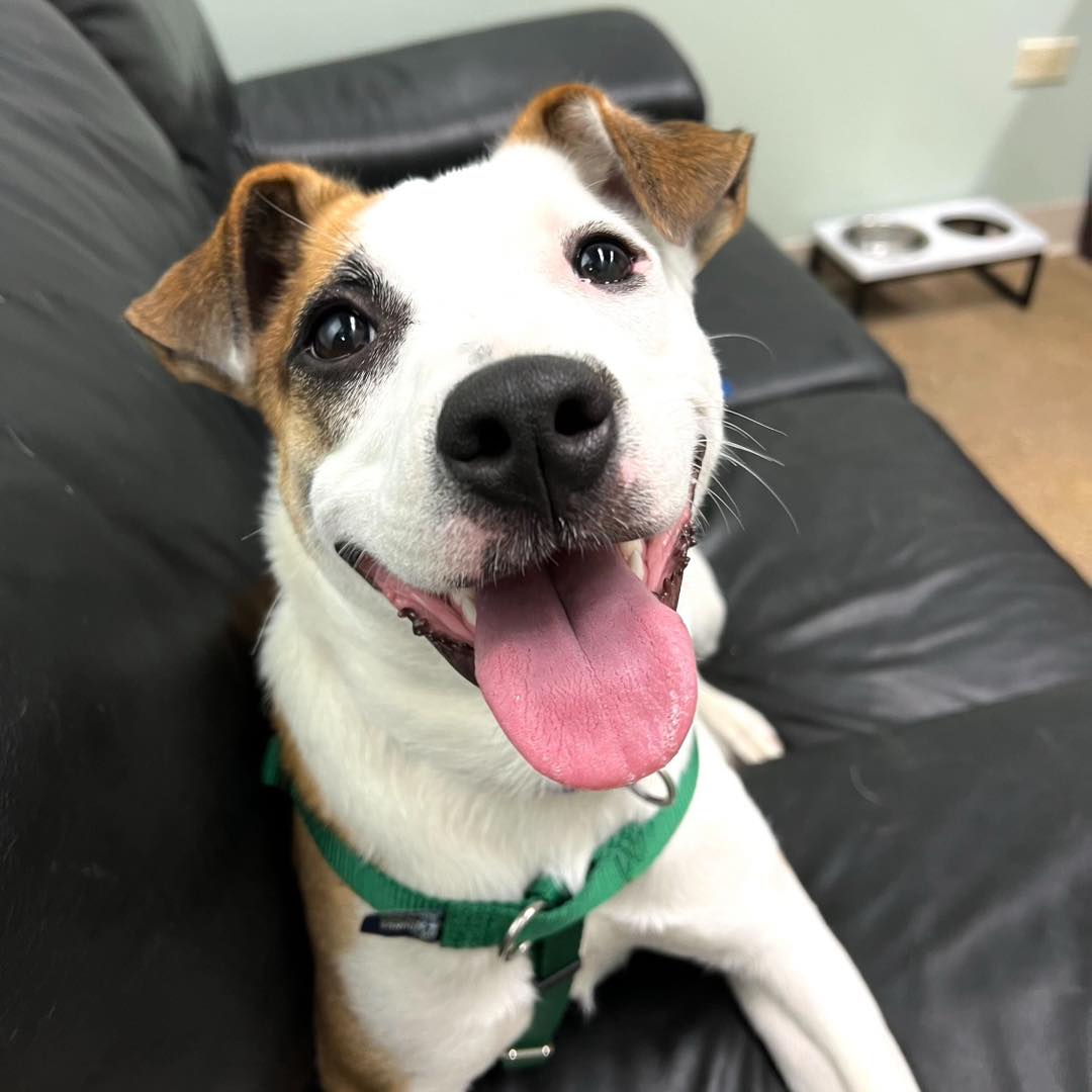 Extra image from article