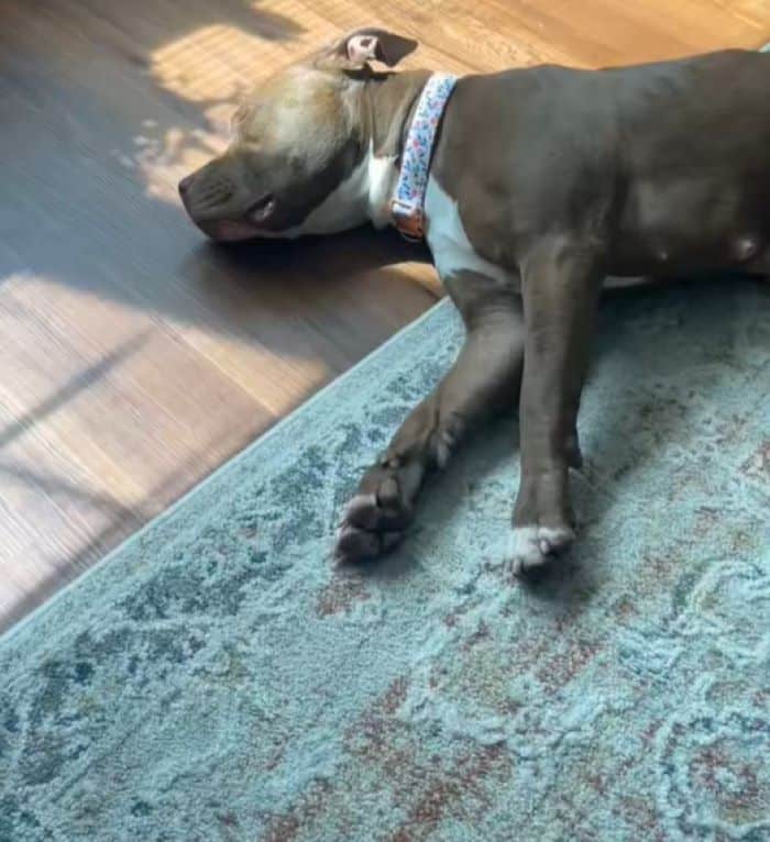 Ruby's situation started to brighten whe...