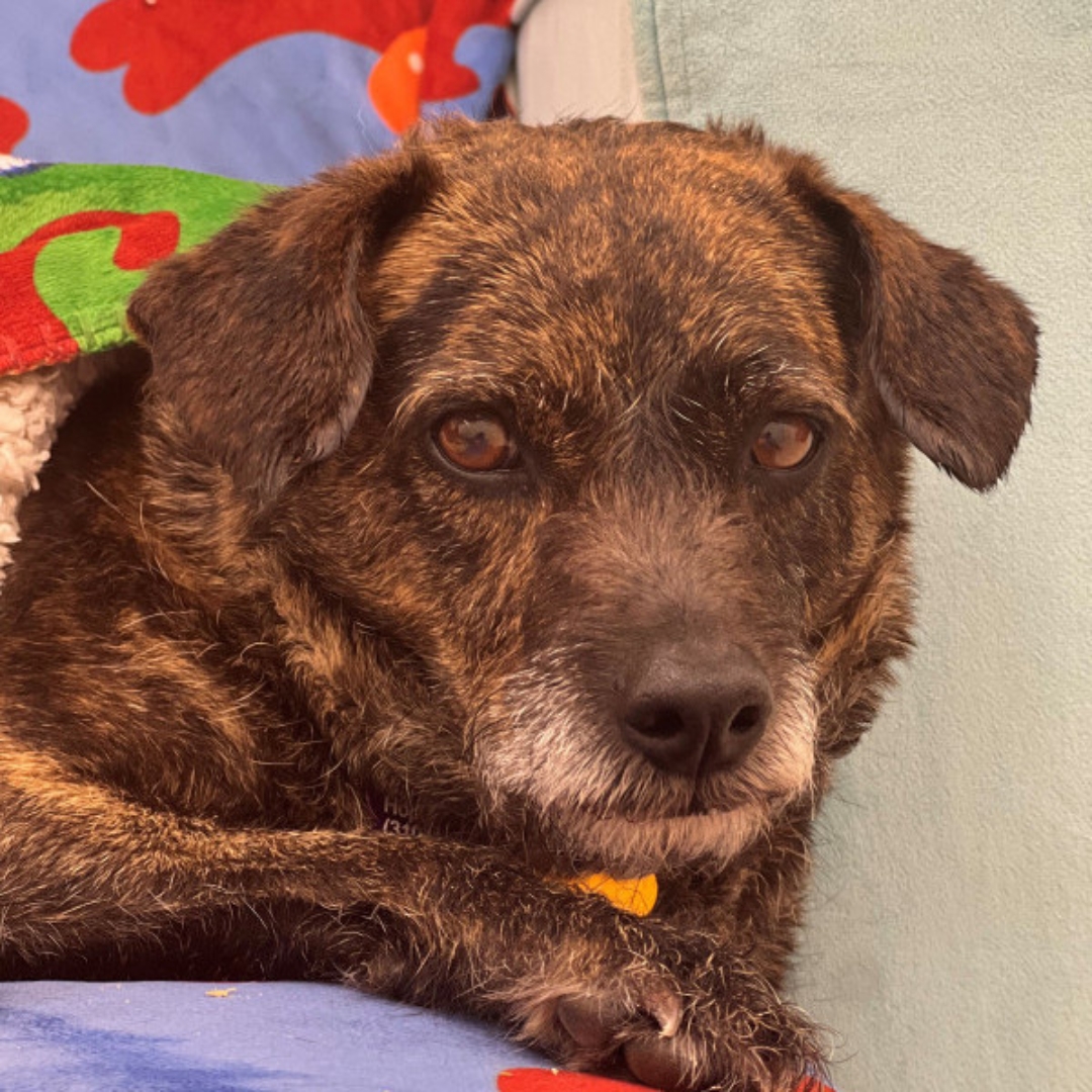 Extra image from article