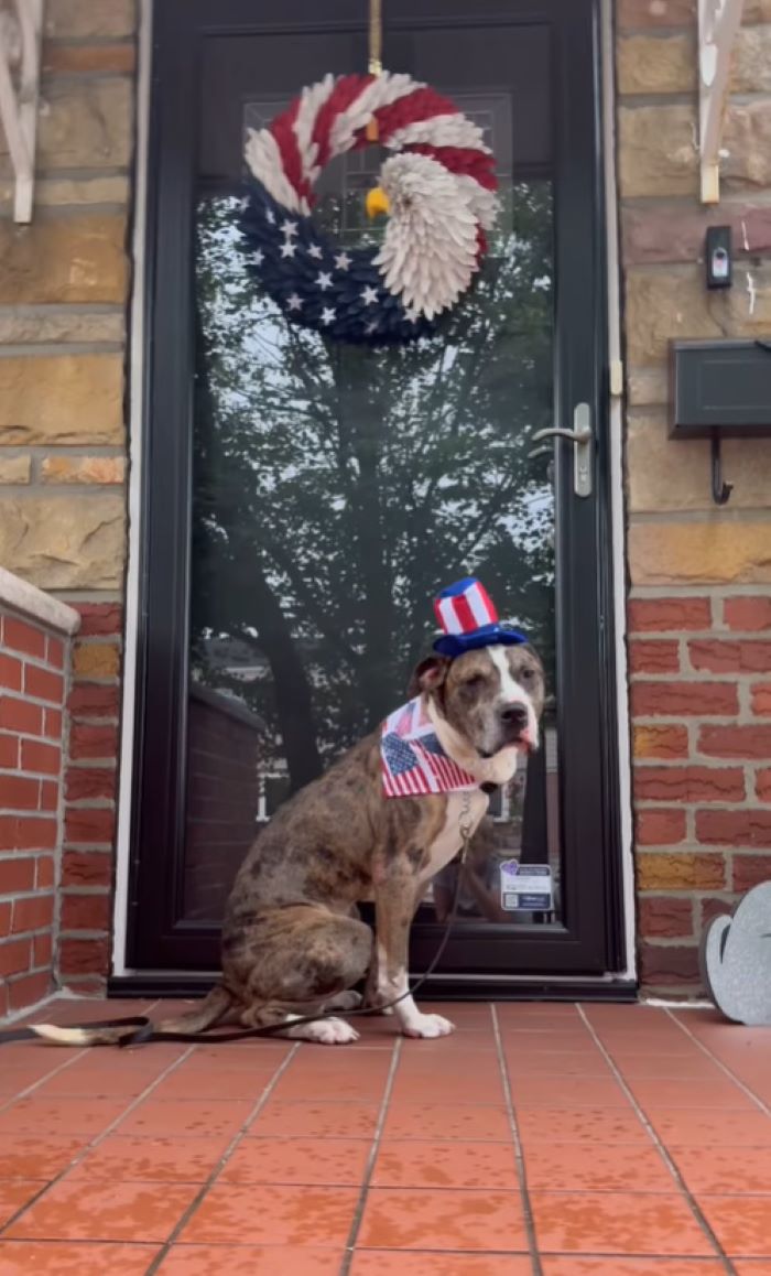 Extra image from article