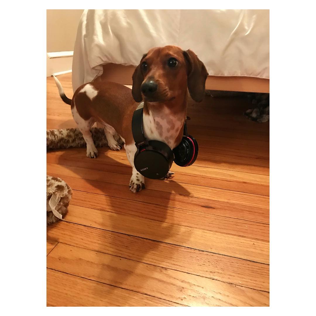 Extra image from article