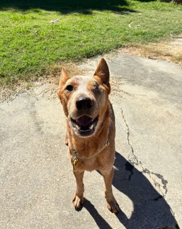 Extra image from article