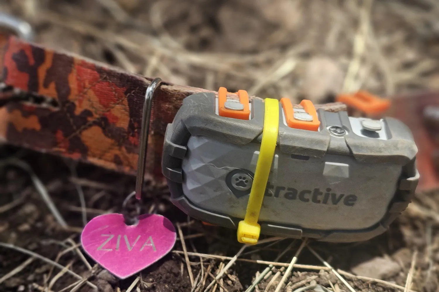 Erin received the news with immense reli...