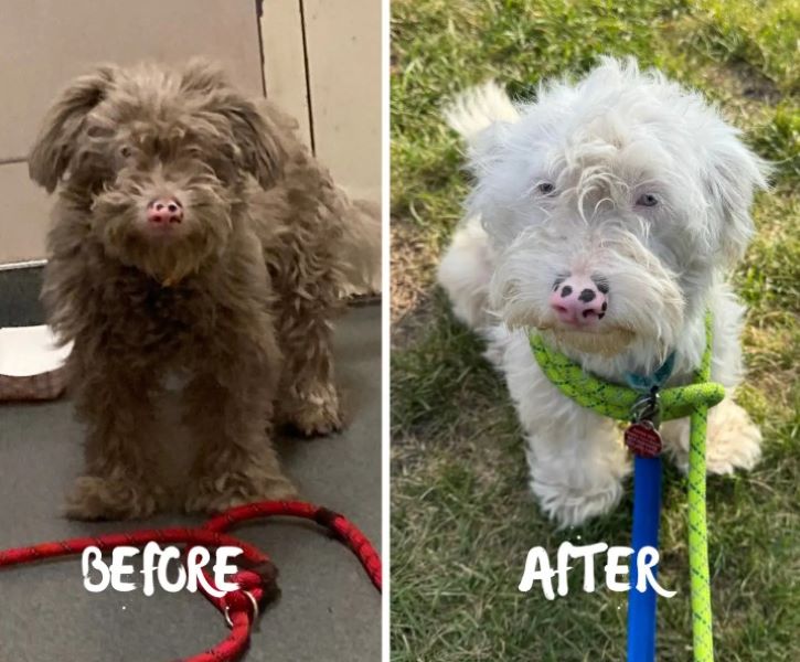 Despite the challenges she faced, Brandy...