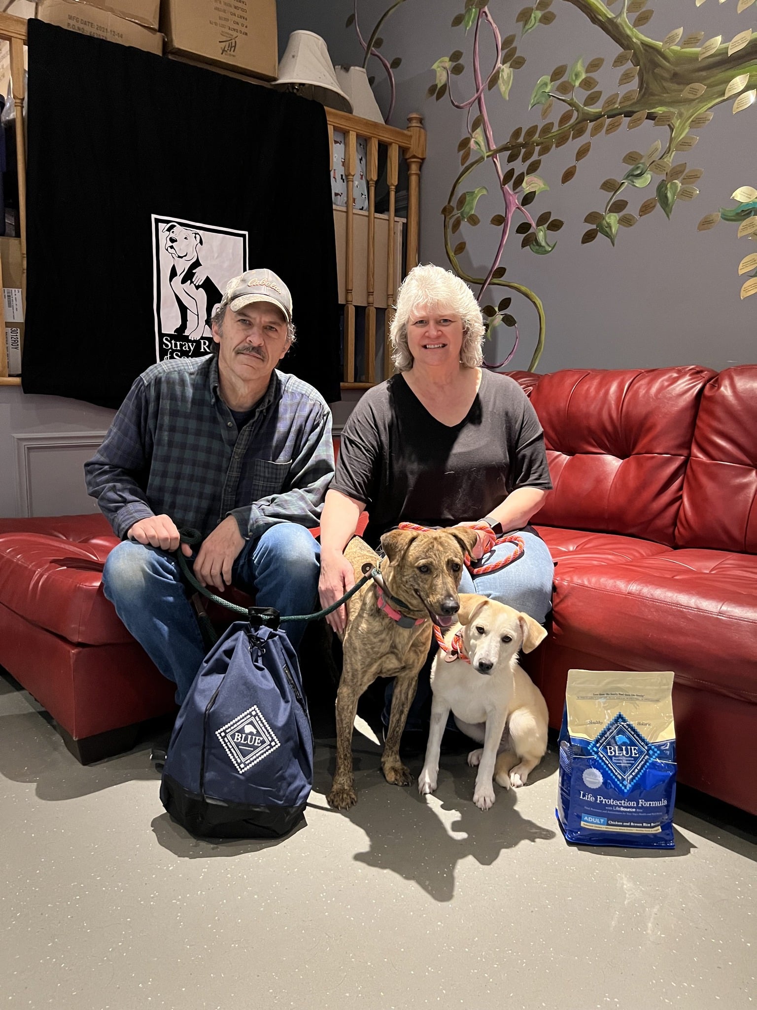 Extra image from article