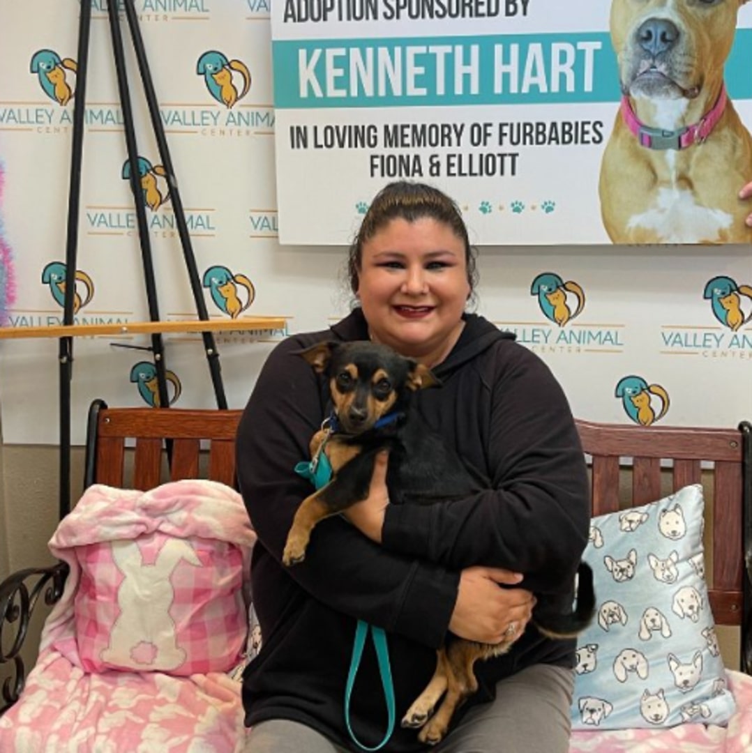 Extra image from article