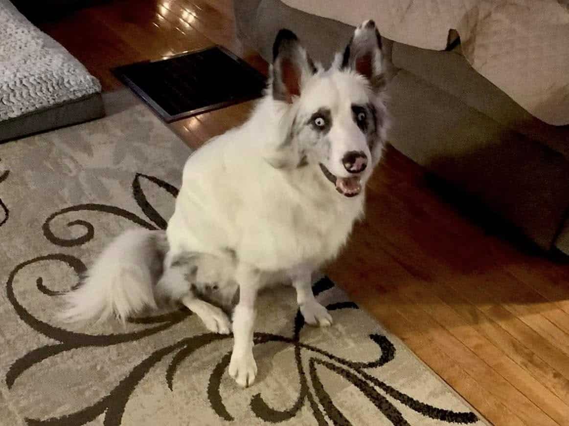 Extra image from article