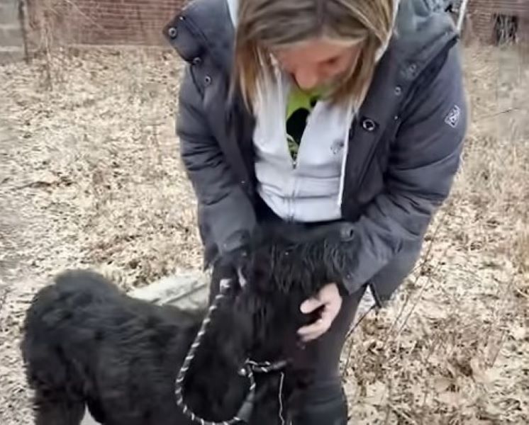 Extra image from article