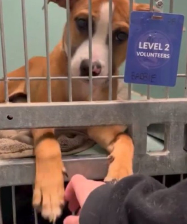 Extra image from article