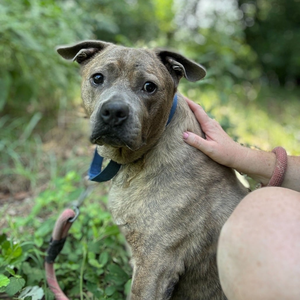 Extra image from article