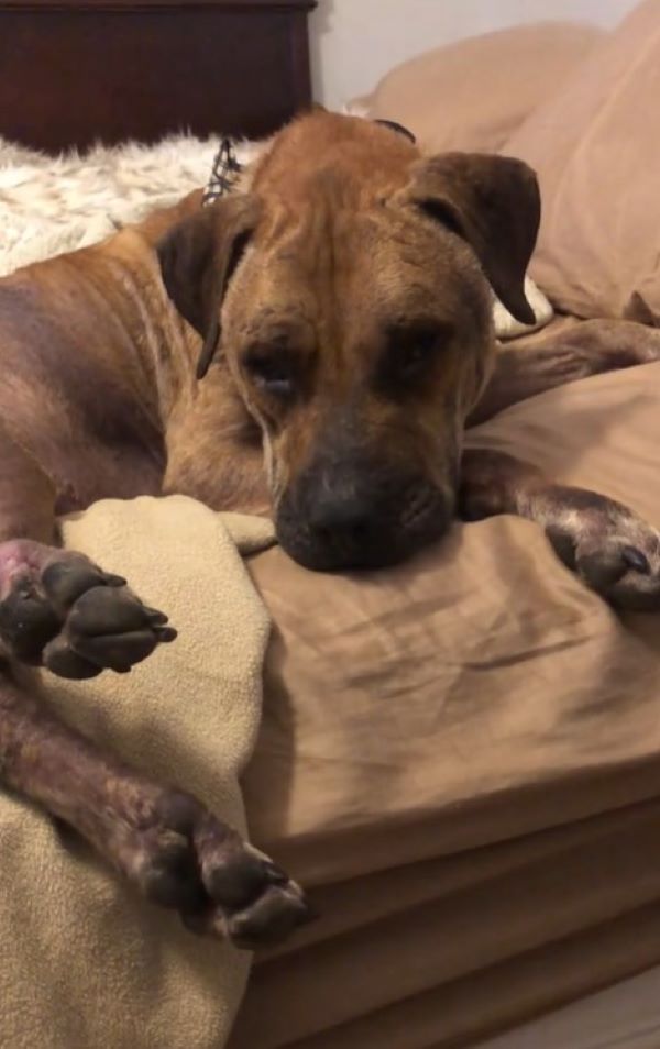 Extra image from article