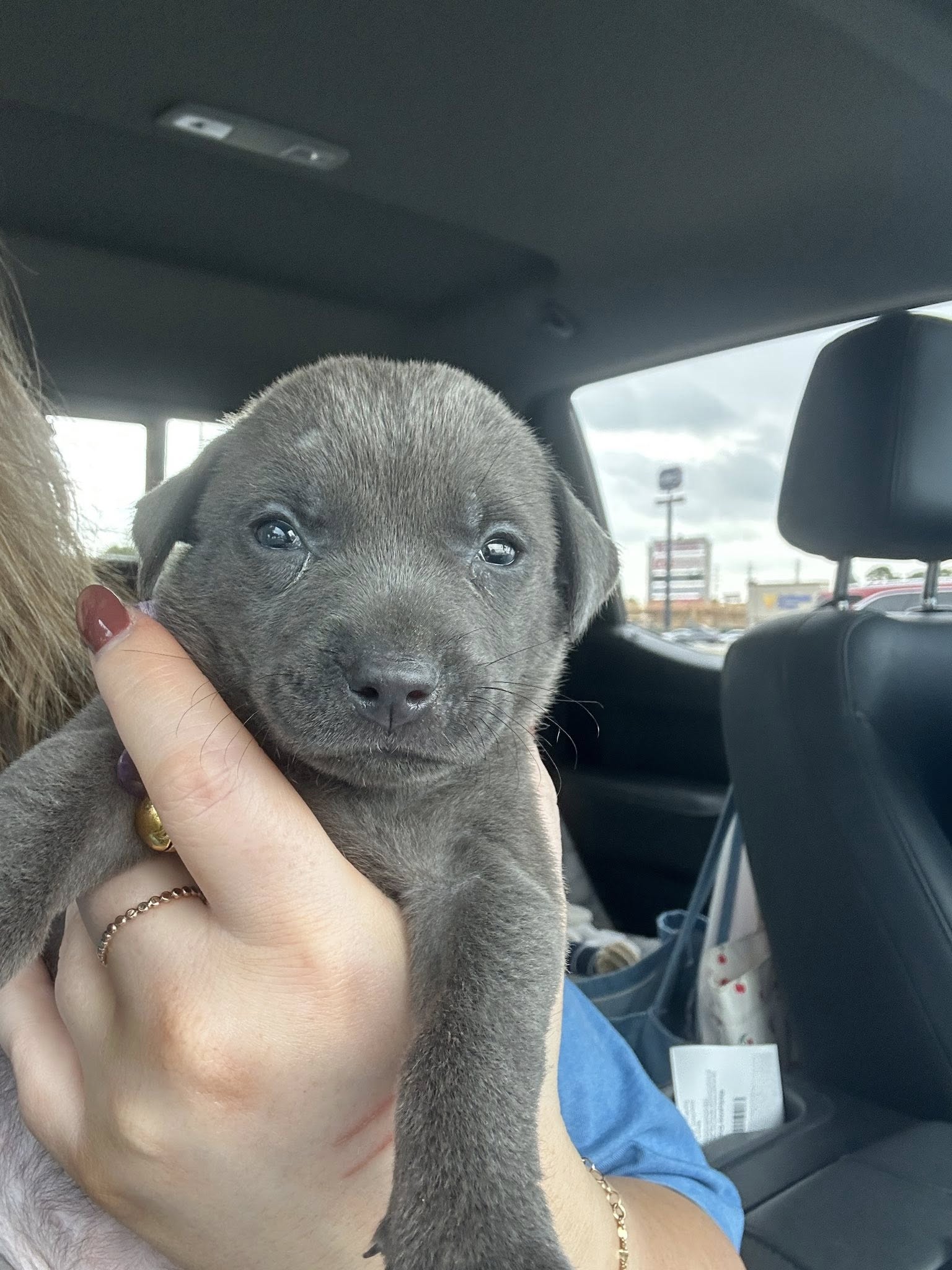 Extra image from article