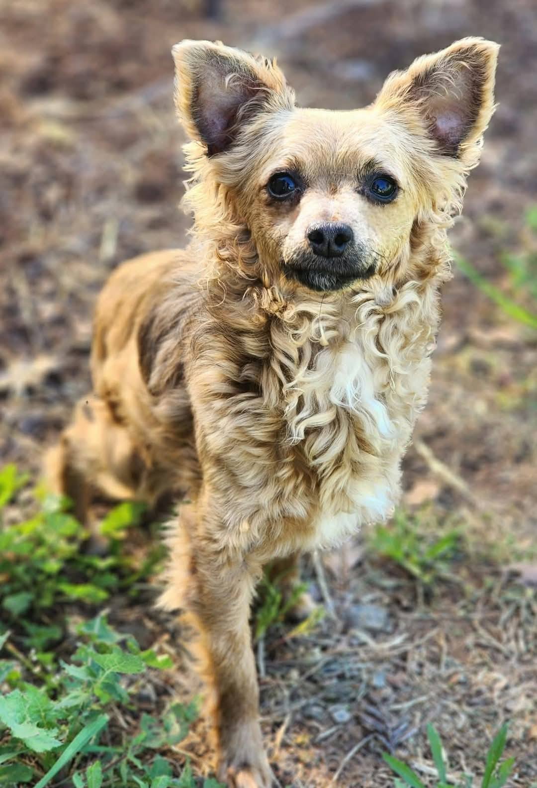 Helga, sharing her thoughts on social me...