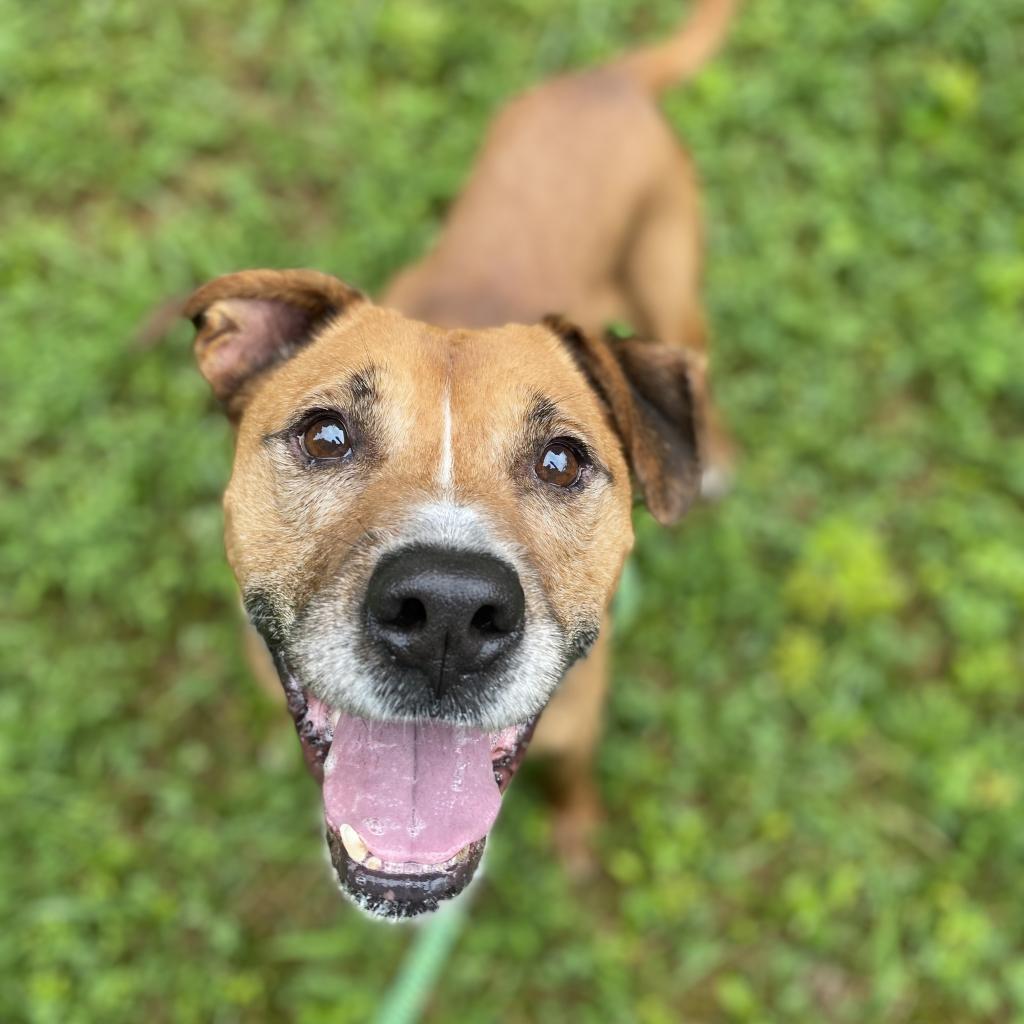 Extra image from article