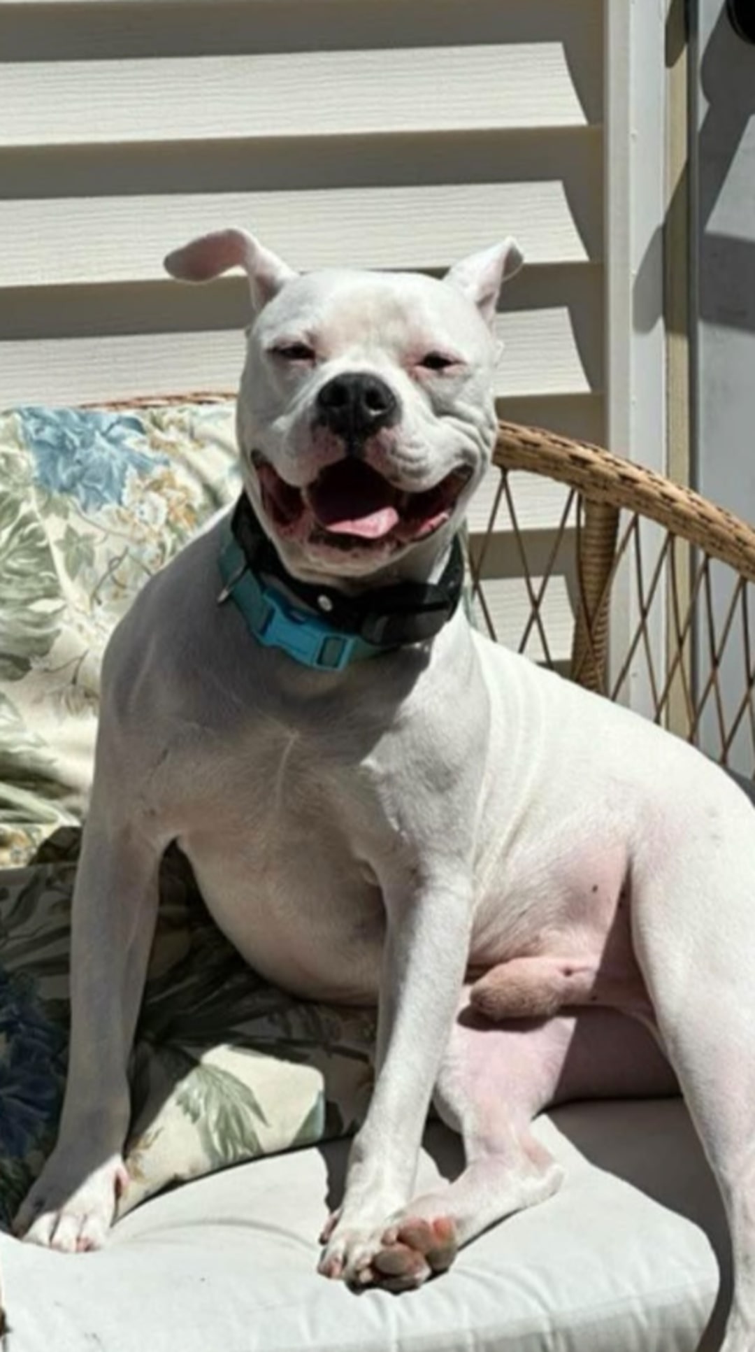 Extra image from article