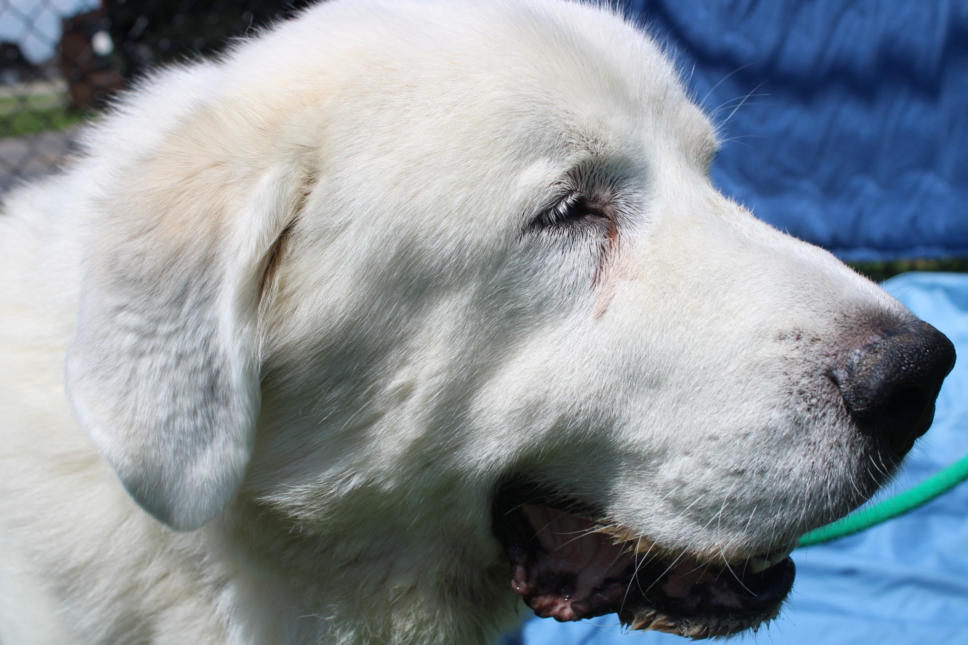 Extra image from article